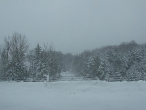 A Snowy Drive